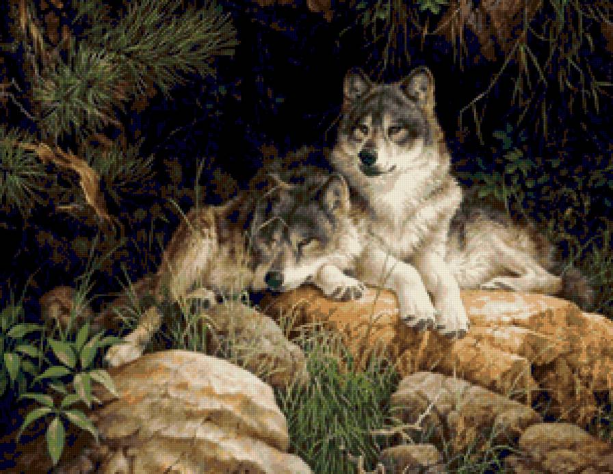 Волки - предпросмотр