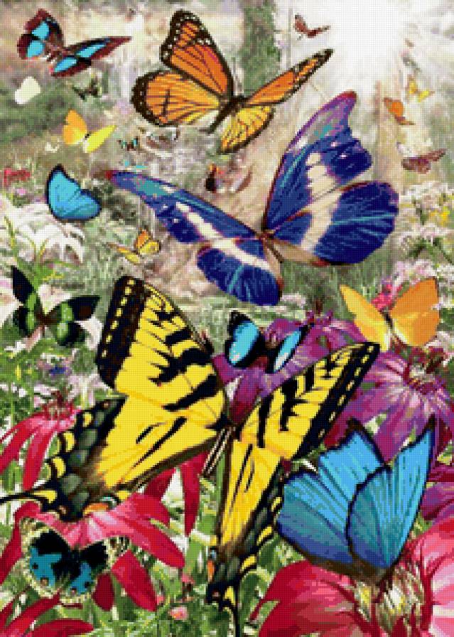Бабочки - бабочка, лес, красота - предпросмотр