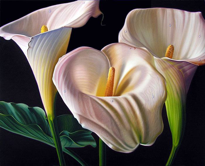 №72160 - живопись, цветы - оригинал