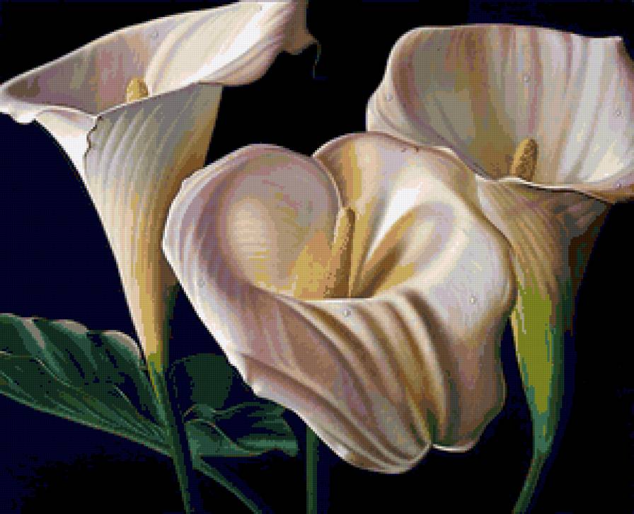 №72160 - живопись, цветы - предпросмотр