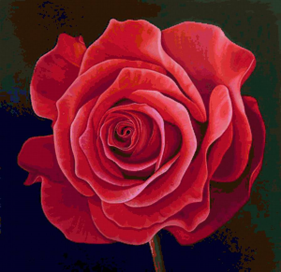 роза - живопись, цветок, роза, цветы, розы - предпросмотр