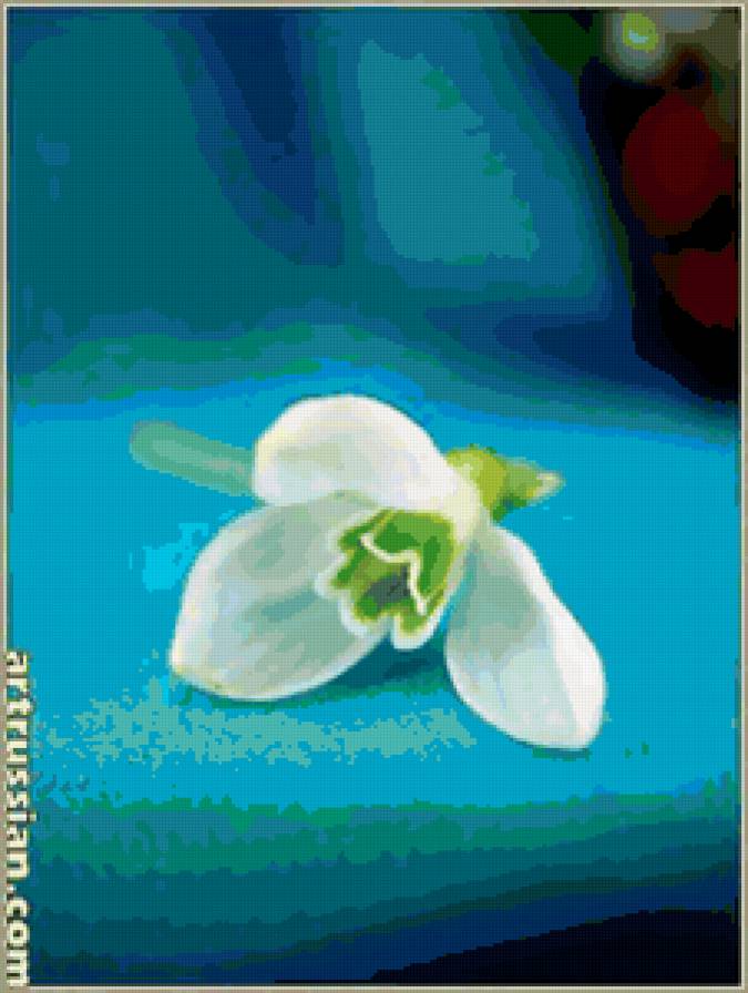 цветок - цветок - предпросмотр