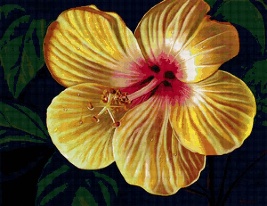 №72207 - цветок, гибискус, цаветы, живопись - предпросмотр