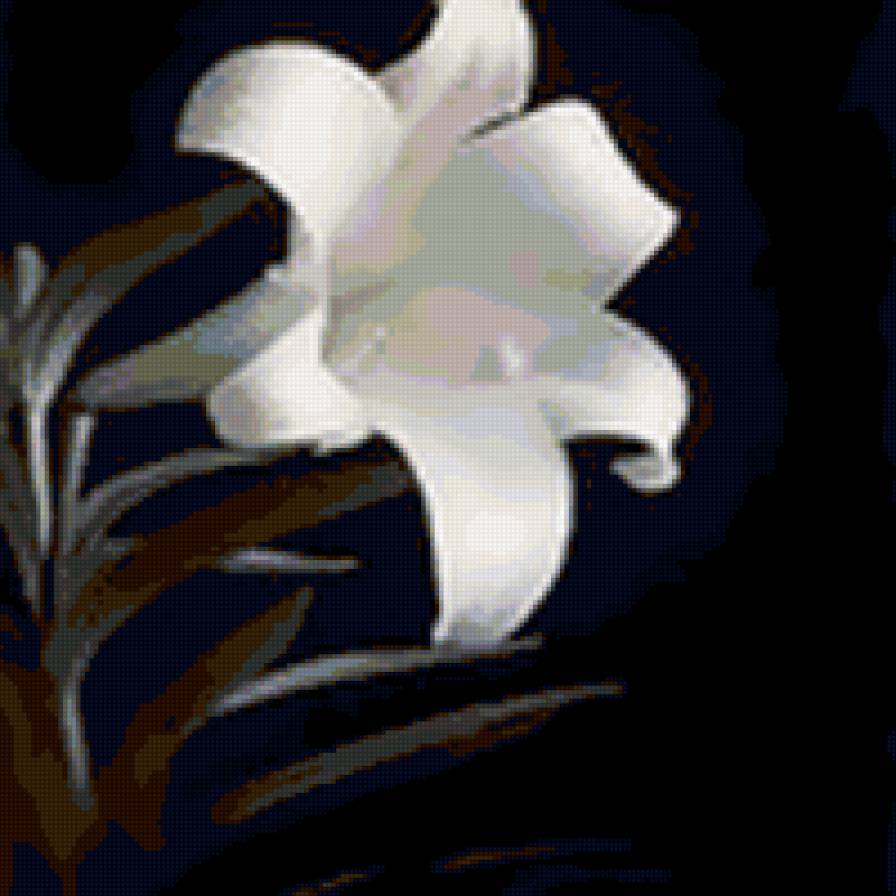 Лилия - белая лилия, цветы, черно-белое - предпросмотр