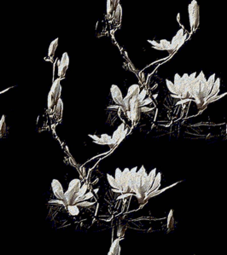 магнолия - магнолия, цветы, подушка, подушки - предпросмотр