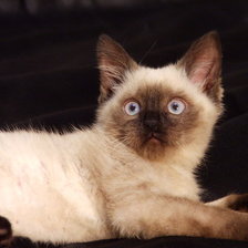 Схема вышивки «№72360»