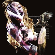 Схема вышивки «Nameless Liberty»