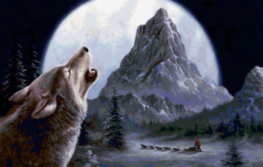 волк - волк, природа, луна, ночь - предпросмотр