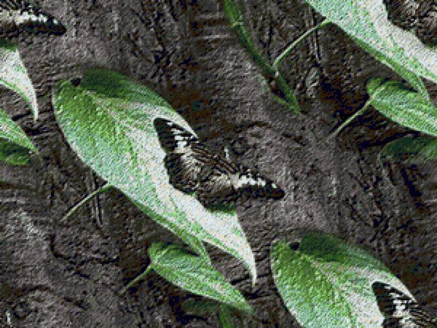 №72755 - насекомые, листья, бабочки, подушка, подушки - предпросмотр