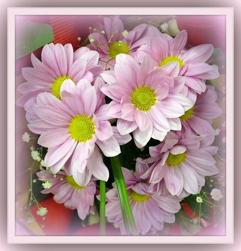 букет цветов - цветы - оригинал