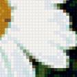 Предпросмотр схемы вышивки «ромашки» (№72759)
