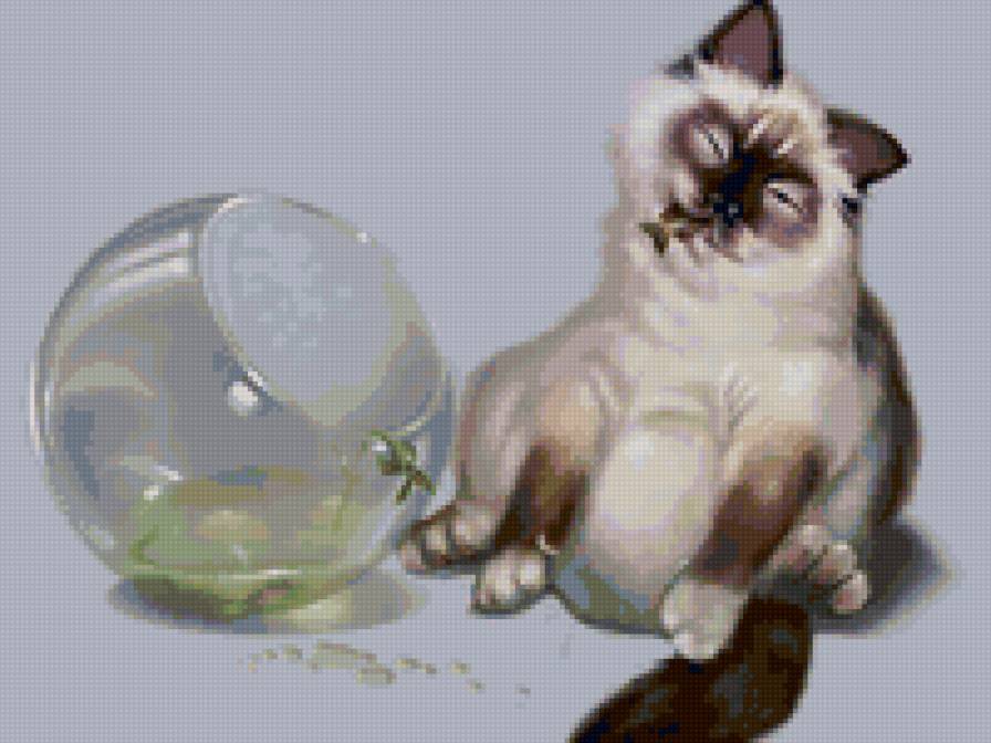 котик - предпросмотр