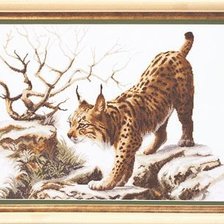 Схема вышивки «рись»