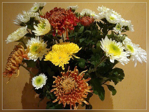 №72844 - хризантемы, букет, цветы - оригинал