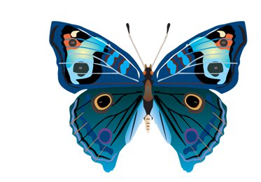 подушка "Бабочка" - насекомые, бабочка, подушка, бабочки, подушки - оригинал