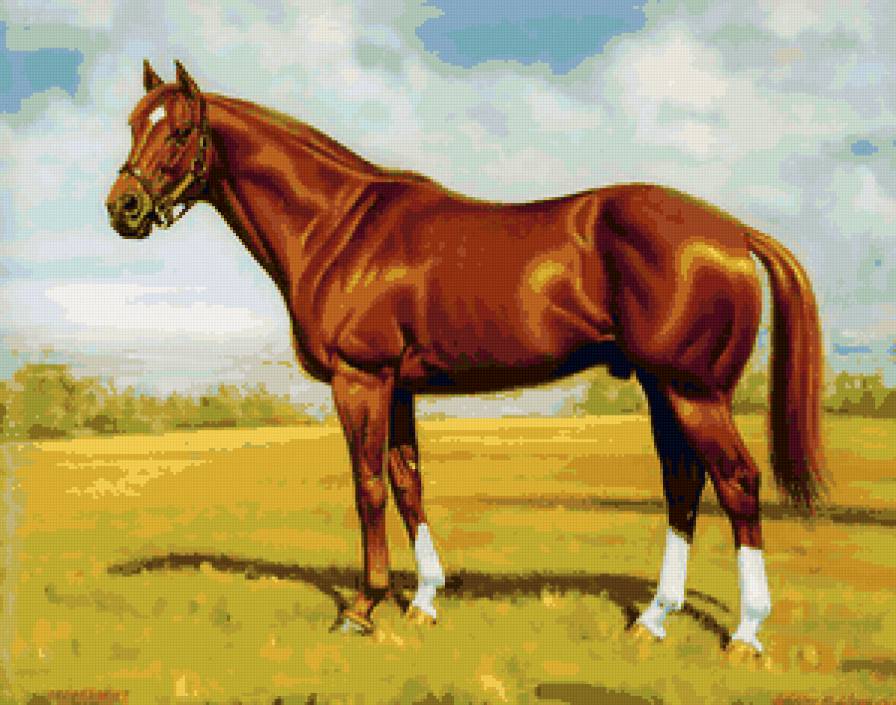 №72856 - лошади, живопись, животные, конь, кони, лошадь - предпросмотр