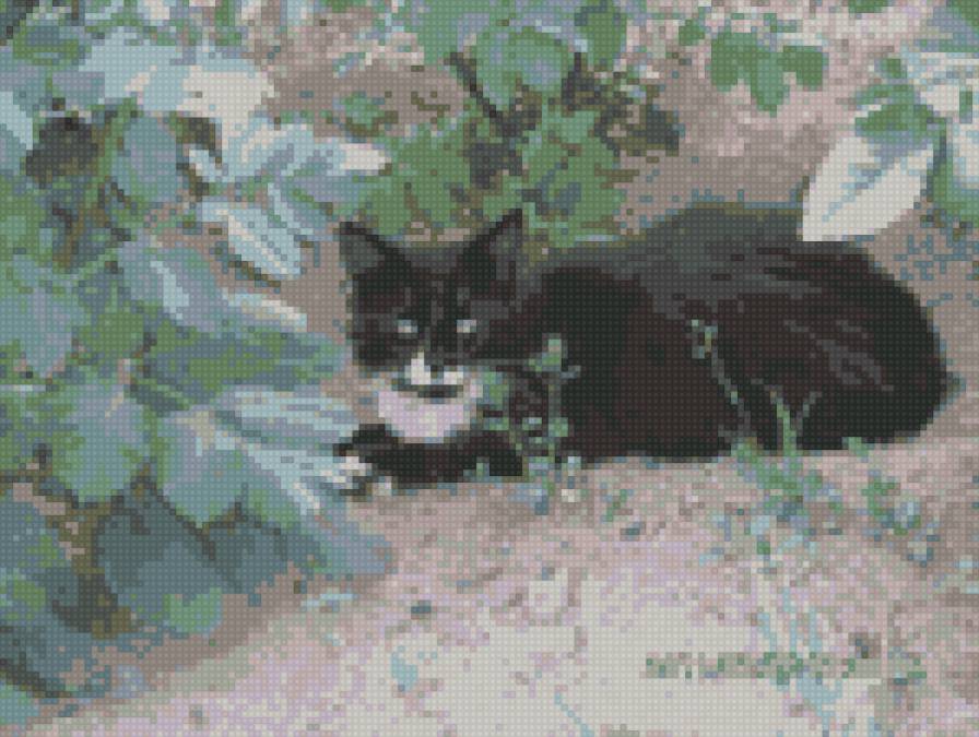 Филя - предпросмотр