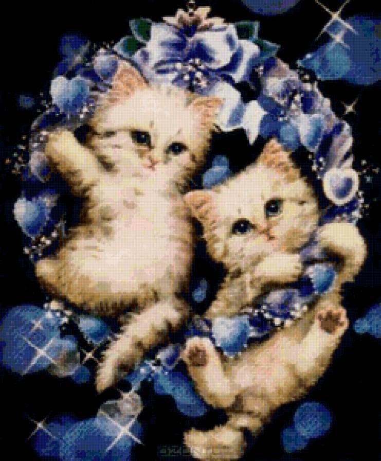 котята - предпросмотр