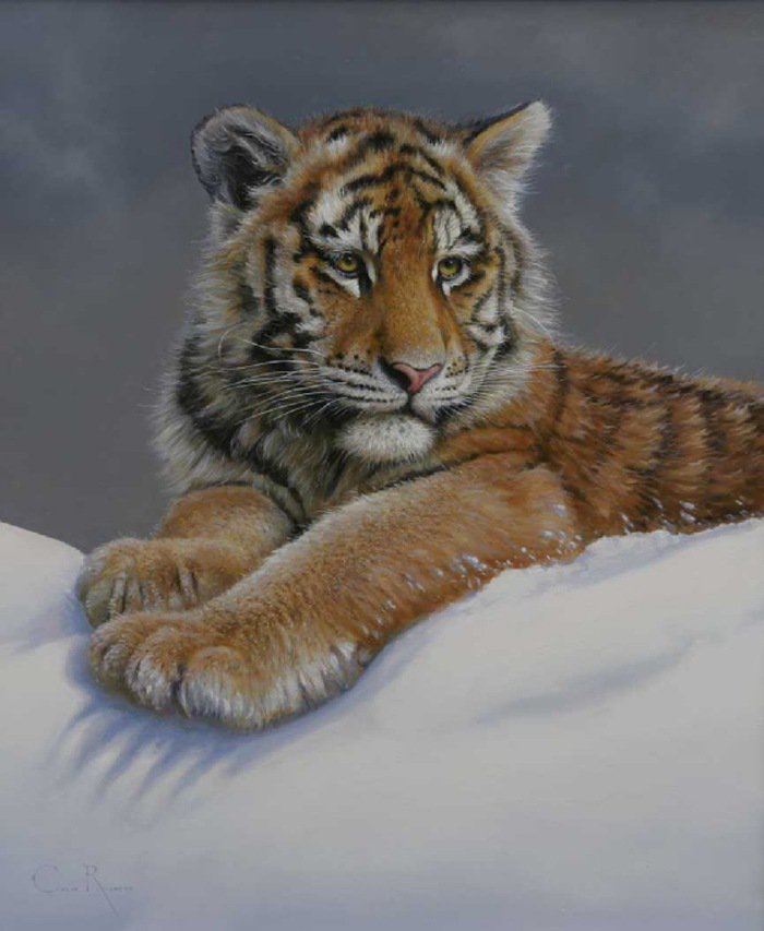 Тигр на снегу - животные, зима, снег, хищник, тигр - оригинал