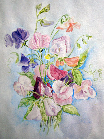 Душистый горошек - душистый горошек, цветы - оригинал