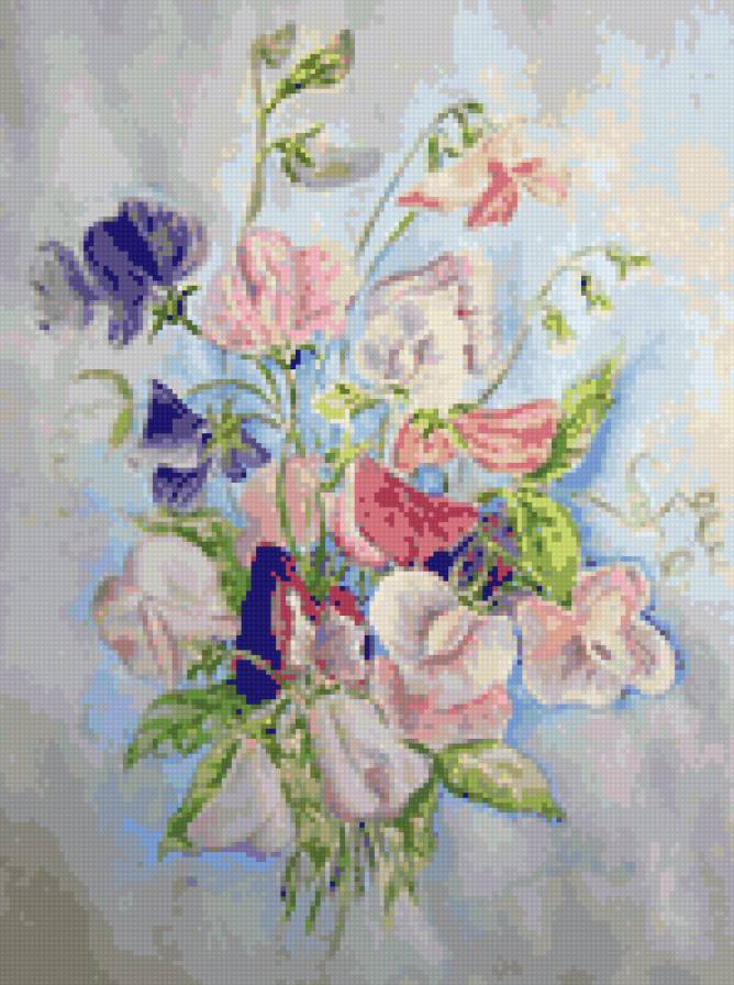 Душистый горошек - цветы, душистый горошек - предпросмотр