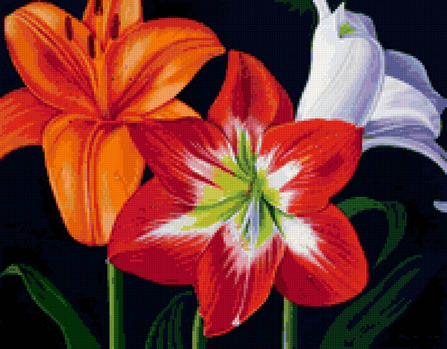 цветы - букет, цветы - предпросмотр