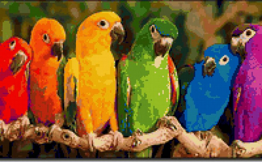 Попугайчики - предпросмотр