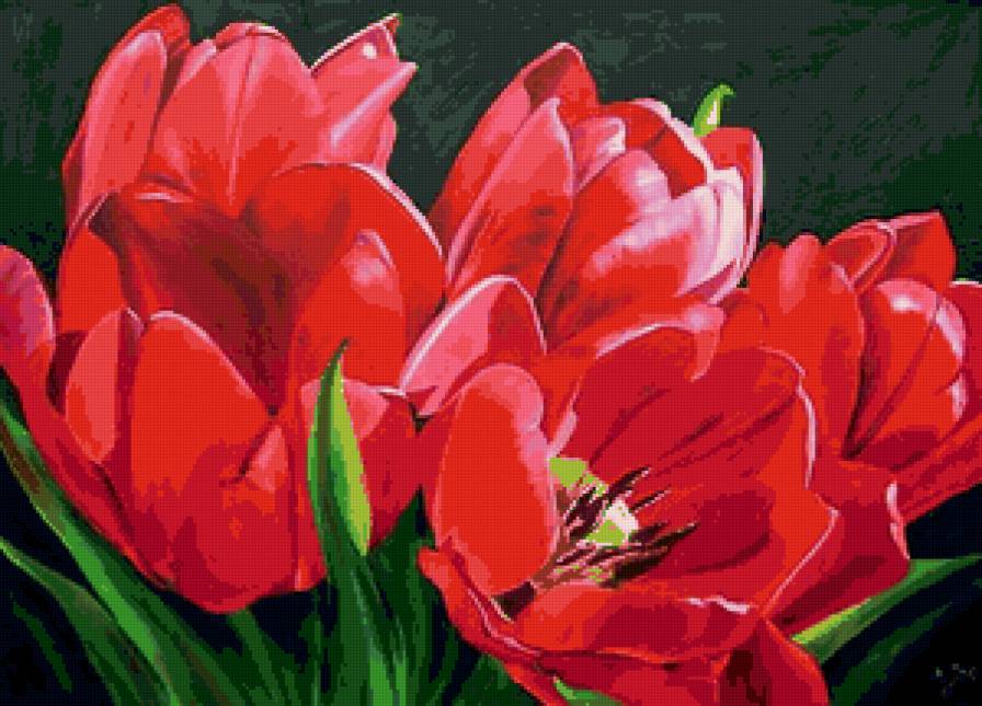 тюльпани - предпросмотр