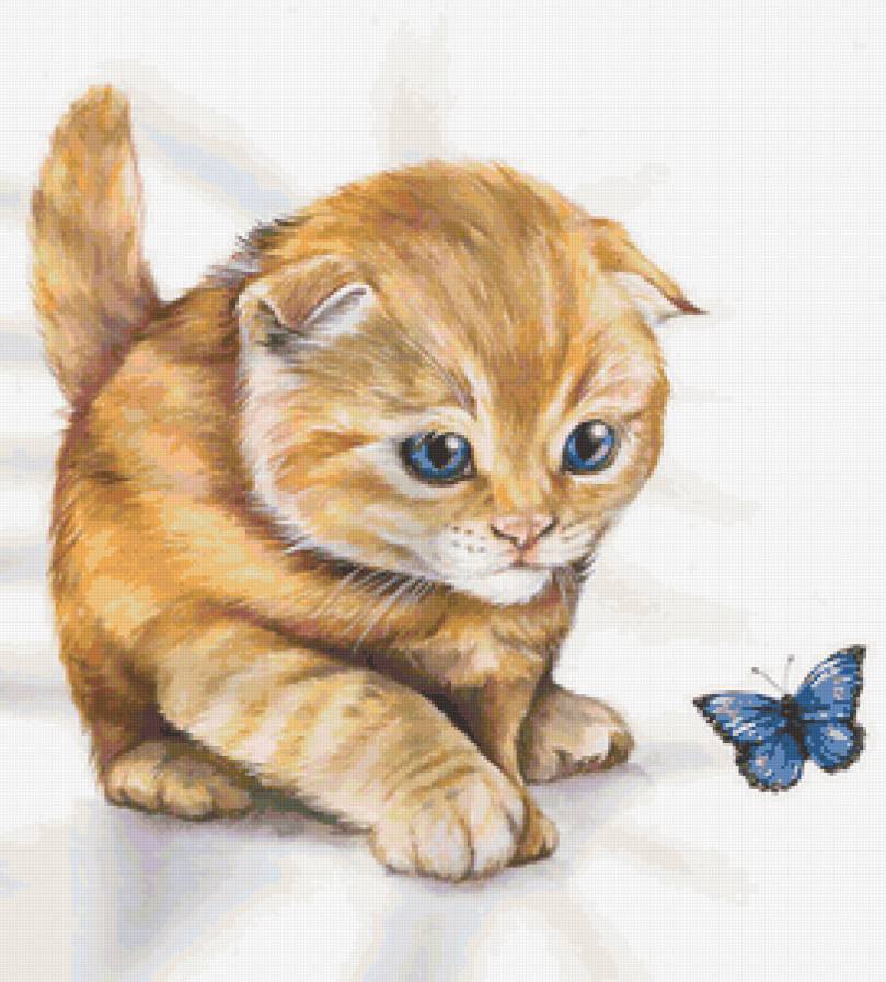 Серия "Кошки" - животные, бабочки, кошки - предпросмотр