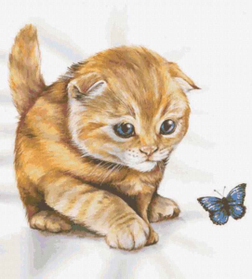 Серия "Кошки" - животные, кошки, бабочки - предпросмотр