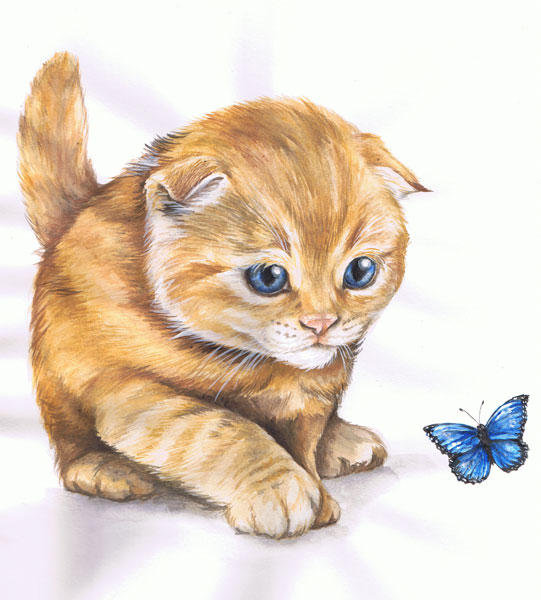 Серия "Кошки" - животные, кошки, бабочки - оригинал