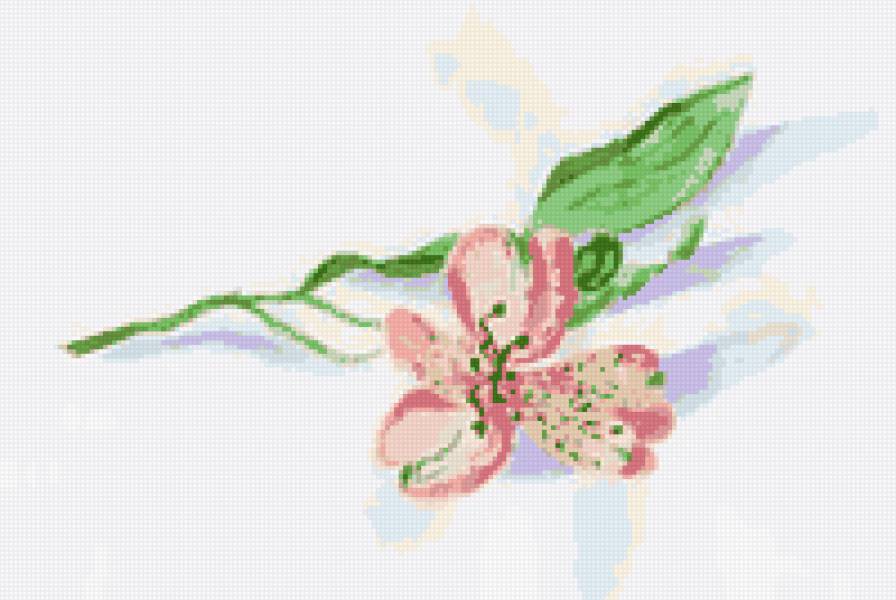 орхидея - орхидея, цветы - предпросмотр