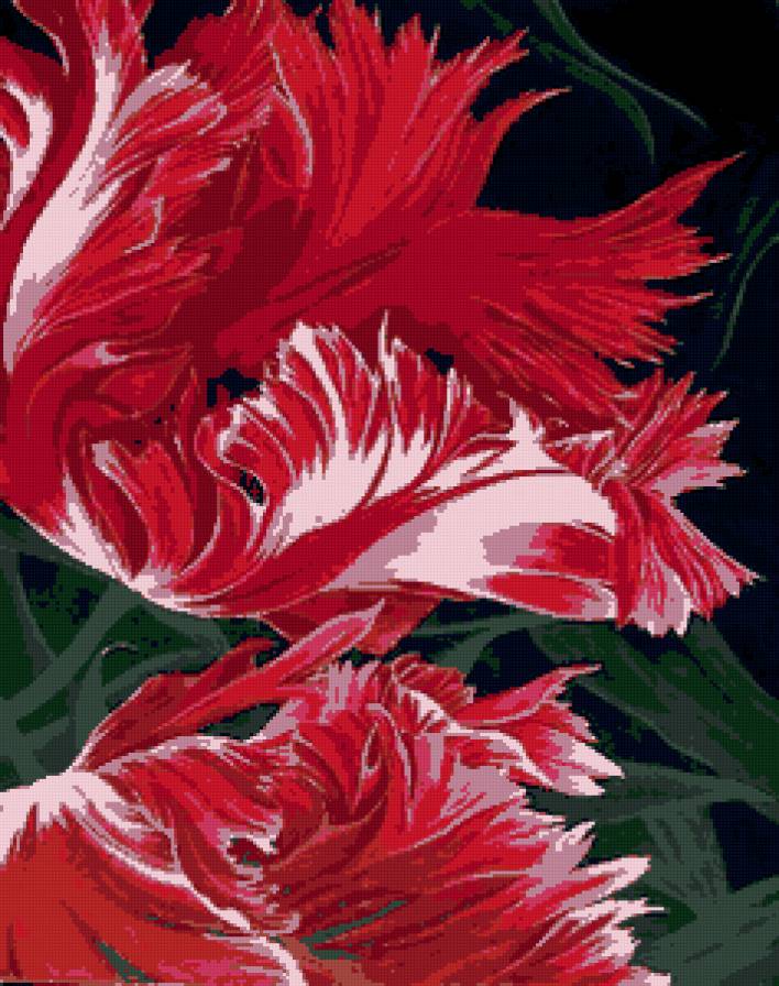 Серия "Букет" - букет, цветы, маки - предпросмотр