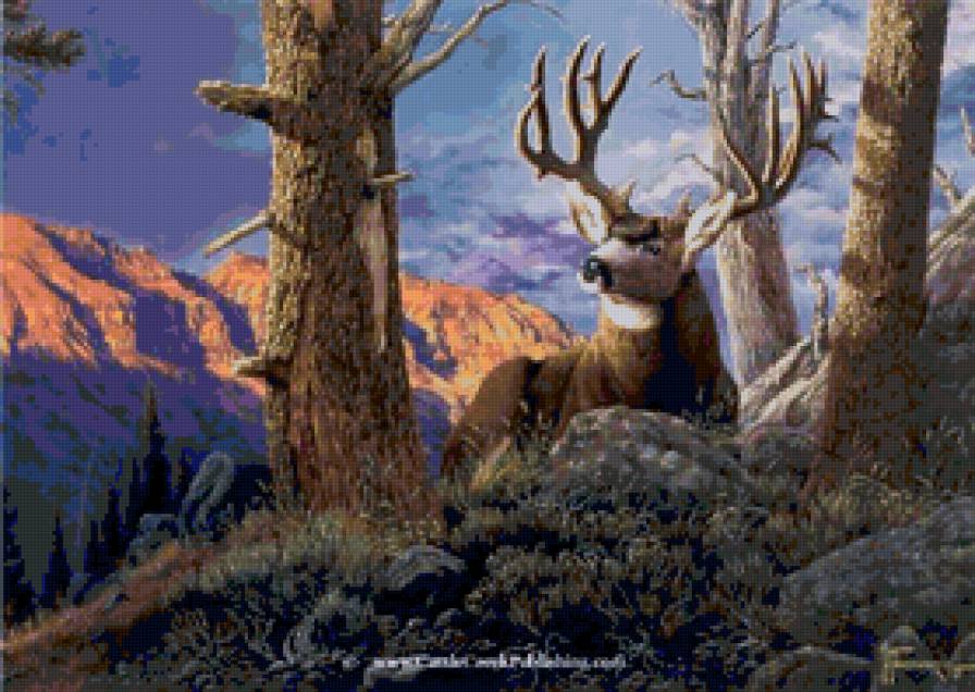 Олень - лес, животные, олень - предпросмотр