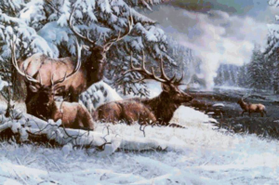 Олени в лесу - олень, животные, лес - предпросмотр