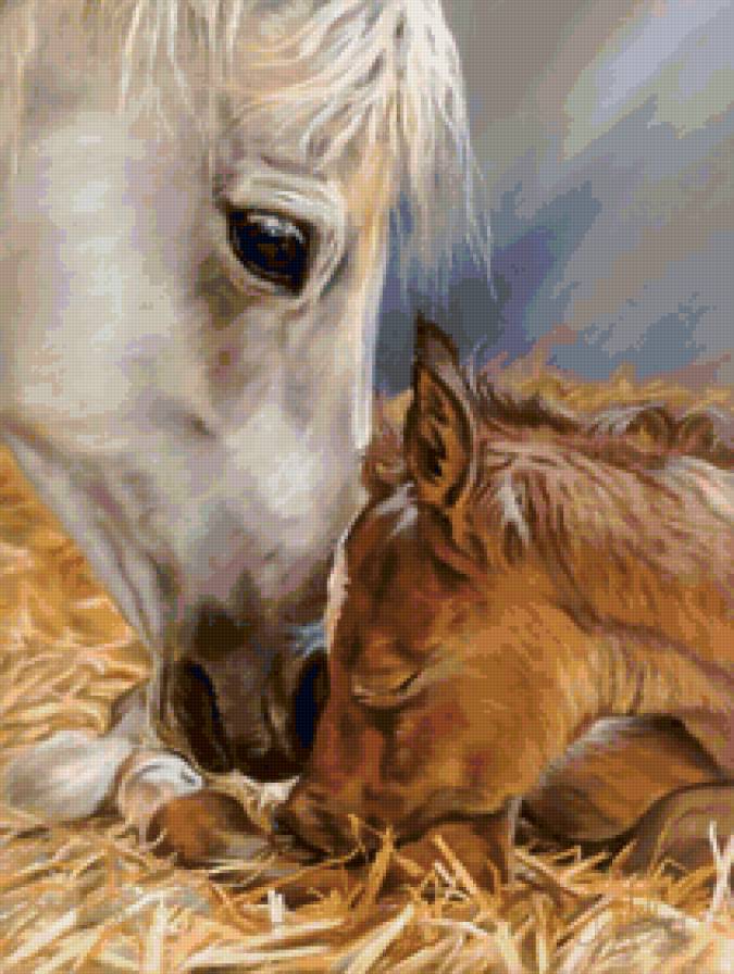 Лошадка и малыш - жеребенок, лошадь, животные - предпросмотр