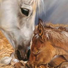 Лошадка и малыш