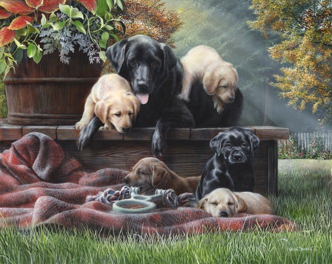 Семья - щенок, животные, собака - оригинал