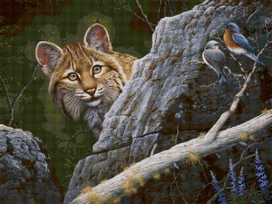 Рысь и птички - животные, рысь, кошка, хищник, птица - предпросмотр