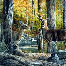 Схема вышивки «Олени в лесу»