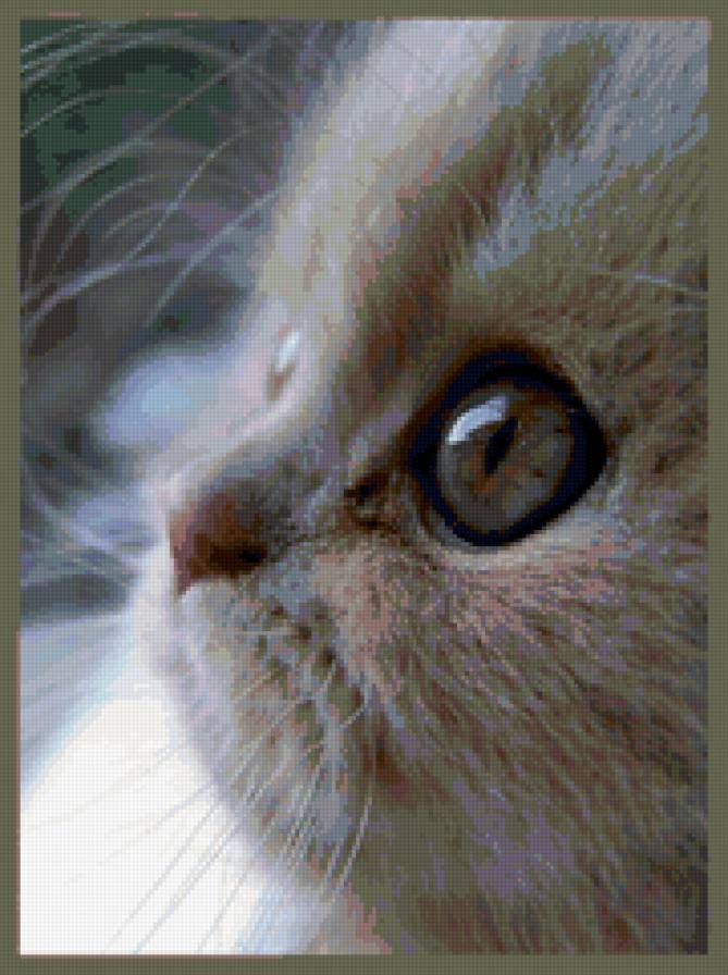 №73519 - предпросмотр