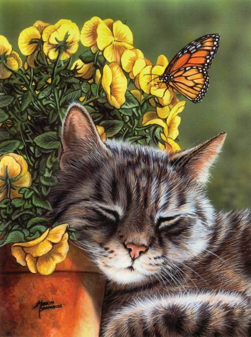Котенок - цветы, котенок, животные, кошка, бабочка - оригинал