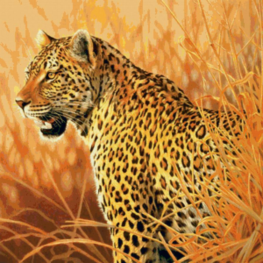 Леопард - хищник, животные, леопард - предпросмотр