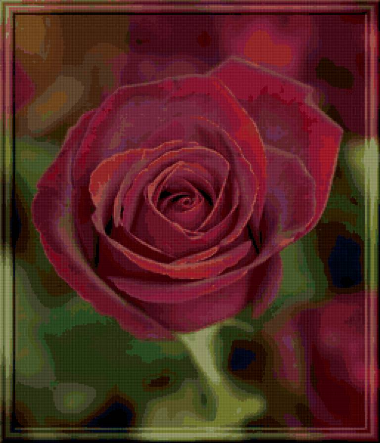 №73623 - цветы, роза, цветок, розы - предпросмотр