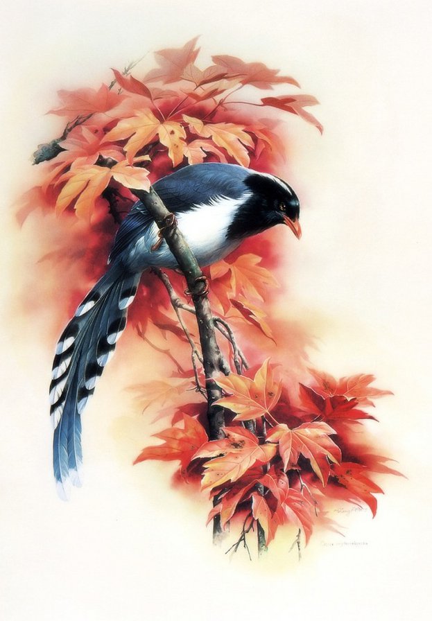 Серия ПТИЦЫ - природа, птица - оригинал