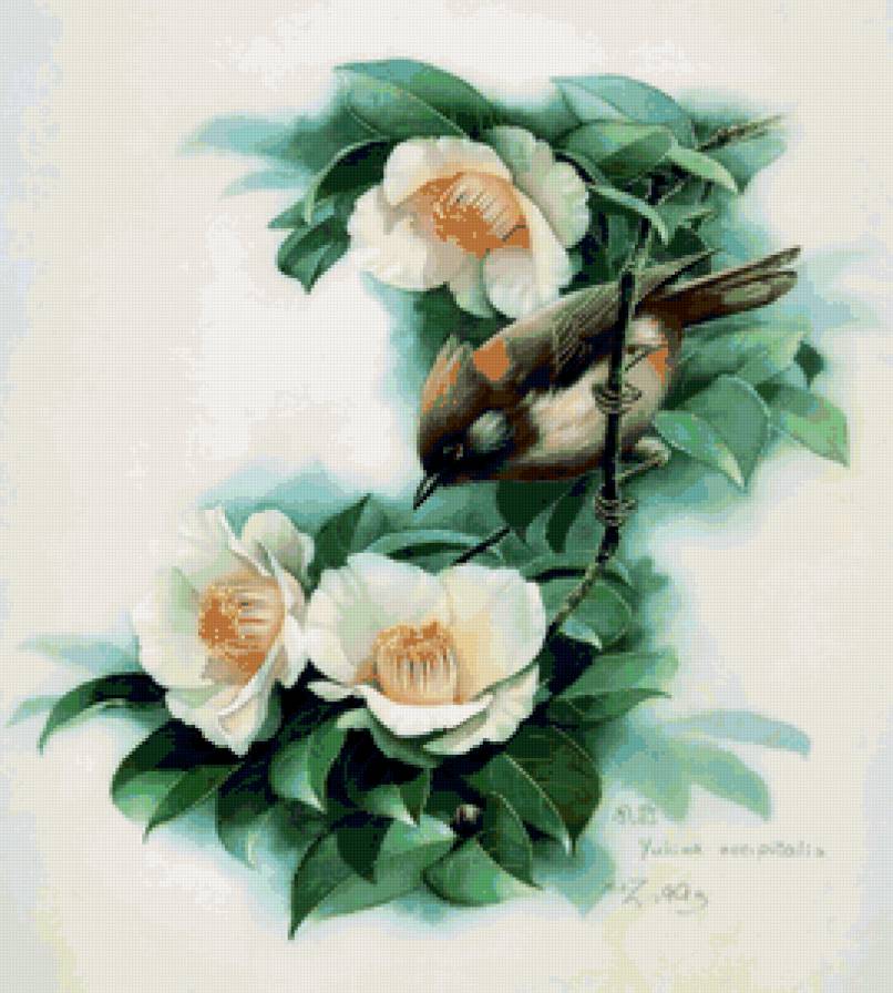 Серия ПТИЦЫ - природа, цветы, птица - предпросмотр