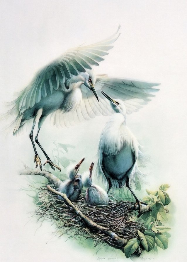 Серия ПТИЦЫ - природа, птица, семья - оригинал