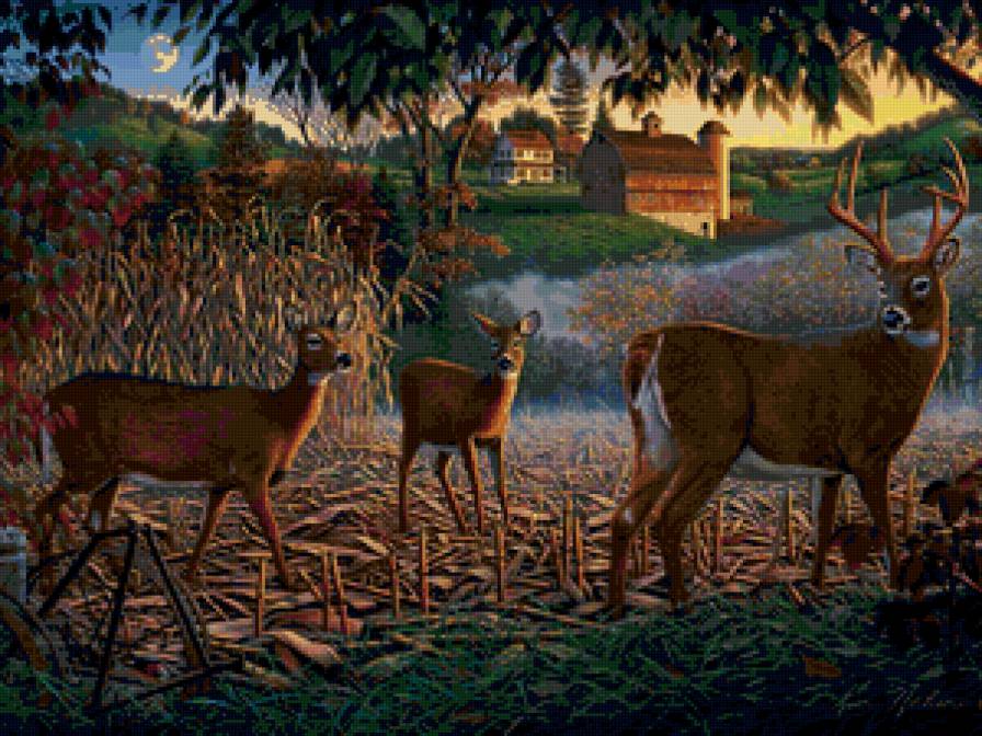 Kim Norlien - лес, олень, животные - предпросмотр