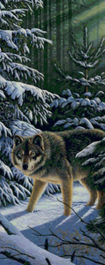 Kim Norlien - зима, животные, волк, хищник - предпросмотр