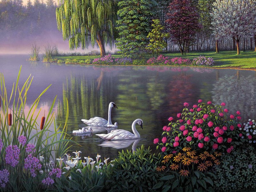 Kim Norlien - птица, лебедь, пейзаж, цветы, река - оригинал